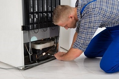 Emergency Fridge Repair & Maintenance Services